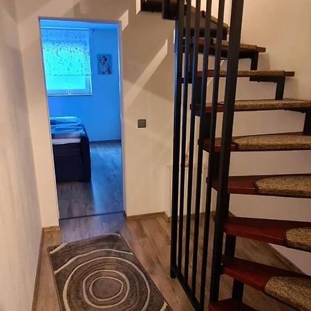 Zentrale Messe/Ferien Whg Mit Garten & Parkplatz Ratingen Eksteriør billede